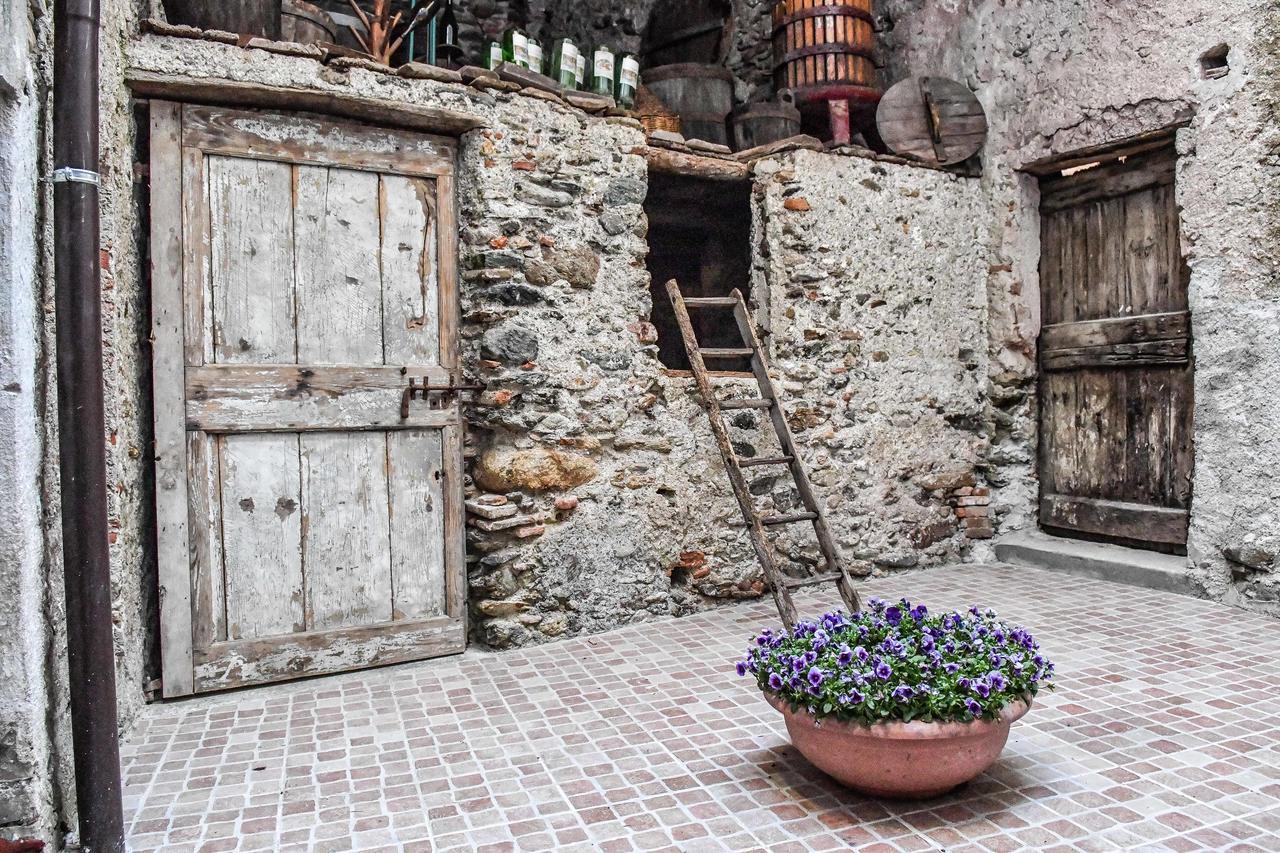 La Terra Di Mingo Bed and Breakfast Vado Ligure Εξωτερικό φωτογραφία