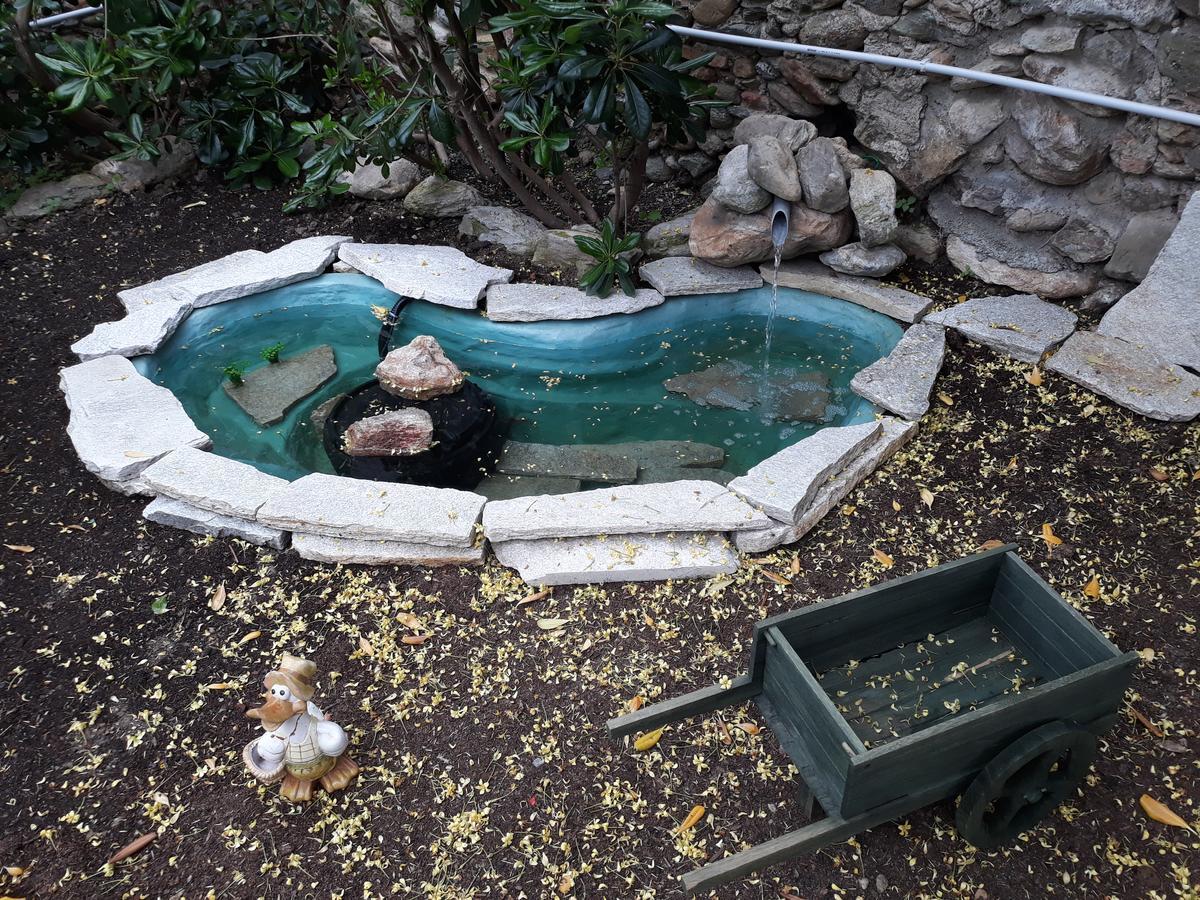 La Terra Di Mingo Bed and Breakfast Vado Ligure Εξωτερικό φωτογραφία